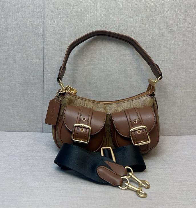 Picture of Coach Handbags _SKUfw234395138fw